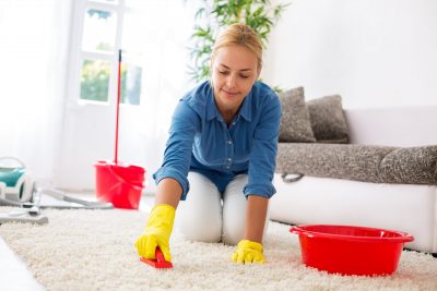Carpet Cleaning Bayswater
